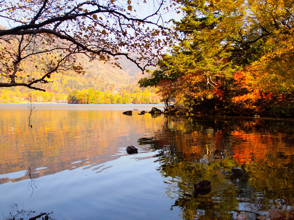 水面に映える日光の湯ノ湖の紅葉